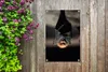 Gartenposter - 40x60 cm - Hängender Schläger  - Modernes Produktbild-Vorschau 6