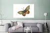 MuchoWow® Poster Vintage - Schmetterling - Braun 120x80 cm Produktbild-Vorschau 5