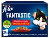 Felix Fantastische Ländergeschmäcker in Gelee - Nassfutter Produktbild-Vorschau 10