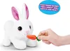 ZURU 9554 - Pets Alive Mama Bunny Surprise plyšový zajačik Náhľad obrázku produktu 20