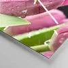 Wanduhr - Quadrat - Glasuhr - Tulpe Blumen Tau - 30x30cm - Produktbild-Vorschau 5
