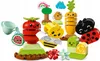 LEGO® DUPLO® 10984 Jardin Voir les images du produit 19