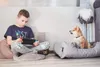 A boy is playing a video game while sitting on the floor next to a dog in its bed. Produktbild-Vorschau