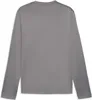 Puma Teamgoal Trainingssweat Kinder - Grau Produktbild-Vorschau 2
