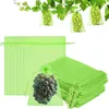100 Stück 20x30cm Grün Obst Schutzbeutel Schutzbeutel mit Produktbild-Vorschau 1