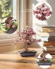 RoboTime 3D Holzpuzzle Bonsai sakura Produktbild-Vorschau 8
