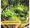 Solabiol Veggie Boost Pflanzenstärkungsmittel 250 ml Produktbild-Vorschau 10