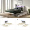 Letto a castello Flieks 120x200 cm con letto a scomparsa Anteprima dell’immagine prodotto 5