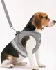 A beagle dog wearing a gray harness and leash, sitting against a white background. Náhled obrázku produktu