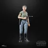 Hasbro Star Wars Černá série Princezna Leia (Endor) 15 Náhled obrázku produktu 17