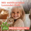bio-chem Geruchsentferner Set | Katzengeruchsentferner Produktbild-Vorschau 7
