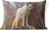 MuchoWow® Outdoor Kissen - Wolf - Stein - Weiß - 60x40 cm - Produktbild-Vorschau 1