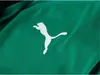 Puma Teamliga Ziptop Herren - Grün Produktbild-Vorschau 6