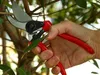A hand holding red pruning shears, about to cut a branch. Podgląd zdjęcia produktu