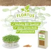 Keimsprossen Senf (200 g) |Keimsprossen von FLORTUS Produktbild-Vorschau 4