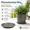 Pflanztopfuntersetzer Mira Anthrazit Ø 34cm - Frostsicher & Produktbild-Vorschau 2