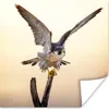 MuchoWow® Poster Wanderfalke - Sonne - Flügel 100x100 cm - Produktbild-Vorschau 1