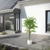 ML-Design Kunstpflanze Ficus 150cm Künstliche Pflanzen groß Produktbild-Vorschau 8