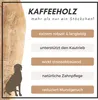 Supravit Natürlicher Kauknochen Kaffeeholz XS | Mehr als Produktbild-Vorschau 6