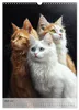 Katzen (Wandkalender 2027 DIN A3 hoch), CALVENDO Produktbild-Vorschau 9