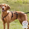 Trixie Panikgeschirr Stay - M-L, 50-75 cm/20 mm Náhled obrázku produktu 4