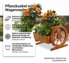 Mucola kvetináč s kolieskami z dreva záhradná dekorácia Náhľad obrázku produktu 8