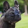 INF Blauer Maulkorb für Hunde mit kurzer Schnauze - Bequem Produktbild-Vorschau 4