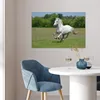 MuchoWow® Poster Pferde - Natur - Weiß 90x60 cm - Produktbild-Vorschau 6