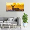 Tulup® Glas-Bild - 100x50 -Wandkunst - Wandbild hinter Produktbild-Vorschau 3