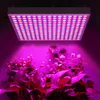LARS360 1X 45W Lampe pour plantes Led 225 LED spectre Voir les images du produit 7