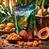 Yaguar - Tè di mate alla papaya 500 g - Con papaya candita Anteprima dell’immagine prodotto 5