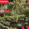 KOTARBAU® Nerezová záhradná dekorácia žiarovka 490 mm Náhľad obrázku produktu 5