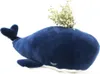 25 cm Cartoon Baleine super doux en peluche Jouet Mer Voir les images du produit 4
