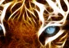 Akustikbild Tiger Abstrakt 200x100 cm Bilder Akustikschaum Produktbild-Vorschau 4