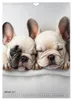 Französische Bulldogge - ein Hund für die Familie Produktbild-Vorschau 4