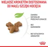 Royal Canin Feline Kitten - 10 kg Podgląd zdjęcia produktu 8