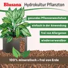 Blusana Blähton 10 Liter feine Körnung 2-4mm Produktbild-Vorschau 4