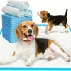 Trainingsunterlagen für Hunde und Welpen, auslaufsicheres Produktbild-Vorschau 8