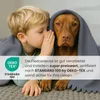 A young boy whispers a secret to a dog, both covered by a gray blanket. Náhľad obrázku produktu