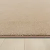 A close-up view of a beige carpet with a light wood floor underneath. Produktbild-Vorschau