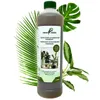 GreenPanda Grünpflanzen Dünger & Palmen Dünger 1 Liter - Produktbild-Vorschau 1