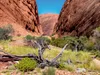 Calvendo Roter Felswände im Kata Tjuta NP 1000 Teile Puzzle Produktbild-Vorschau 2