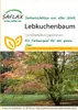 SAFLAX  - Arbre au caramel - 200 graines - Cercidiphyllum Voir les images du produit 8