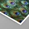 Poster - Poster ohne Rahmen - Pfauen Feder Makro - 70x50 cm Produktbild-Vorschau 2