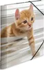 Herma GmbH S.mappe A4 Katzen Sonstige Sonstige Produktbild-Vorschau 5