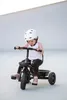 Dreirad mit Schiebestange – 3-Rad Kinderfahrzeug ab 1 Jahr Produktbild-Vorschau 4