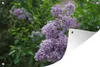 MuchoWow® Produktbild-Vorschau 1
