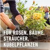 COMPO AGROSIL Wurzel-Turbo 0,05 kg Produktbild-Vorschau 9