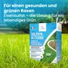 LERAVA® síran železnatý [70 m²] – dodává železo, draslík a Náhled obrázku produktu 14