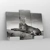 Bild auf Leinwand - Leinwandbild - Tierwelt weiblich katze Produktbild-Vorschau 4